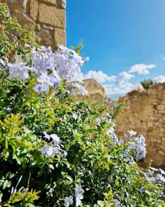 Casa Al Plumbago Villa Termini Imerese Eksteriør bilde